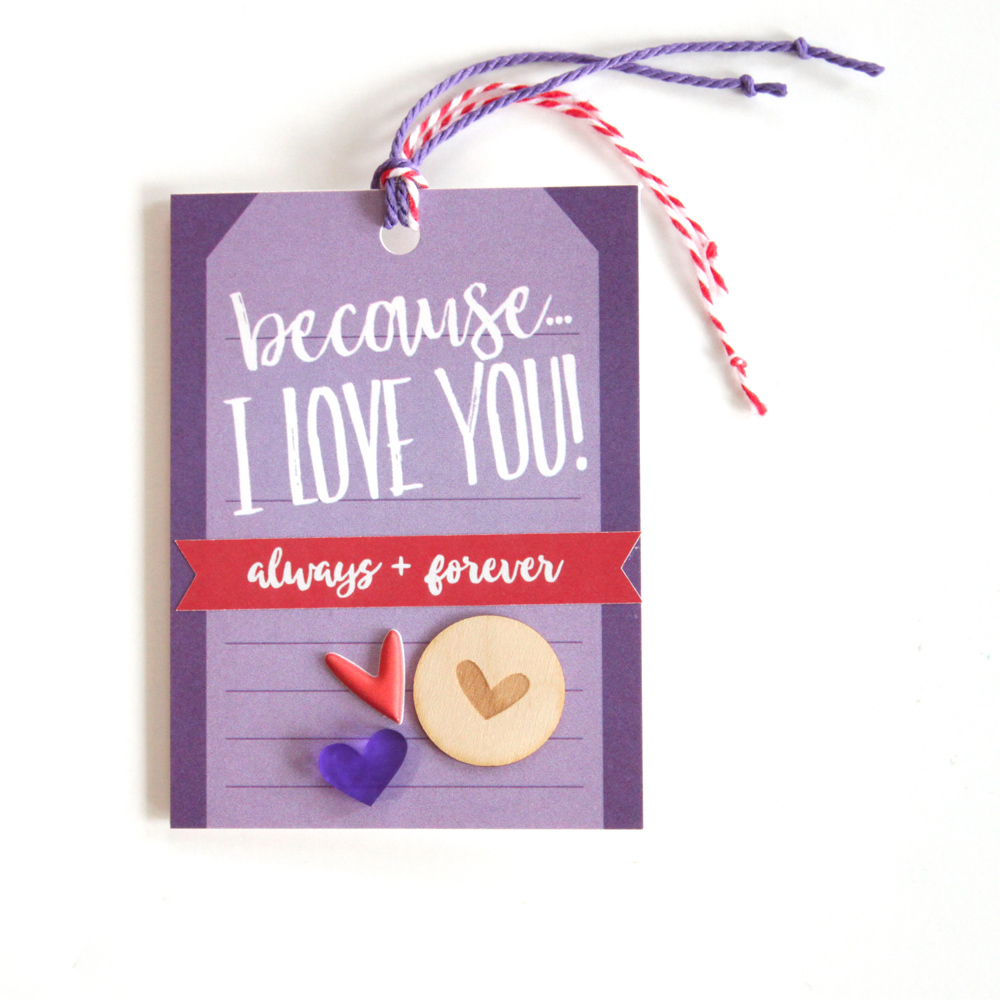 EllesStudio-MeghannAndrew-MiniValentines-7